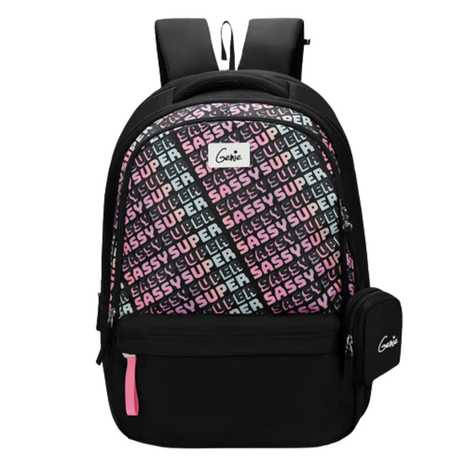 Genie SASS Black in Color Laptop Backpack 19 inch with Rain Cover (B0BVN26J71) Amazon Price History, Amazon Price Tracker