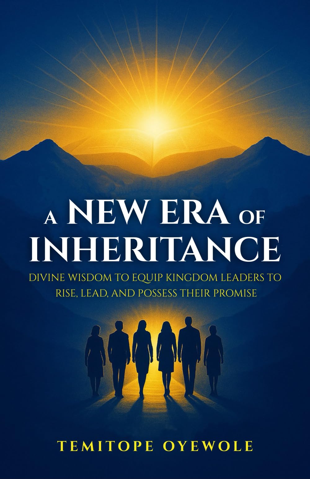 A New Era Of Inheritance: Divine Wisdom To Equip Kingdom Leaders To Rise, Lead And Possess Their Promise