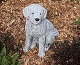 stoneandstyle Steinfigur großer Labrador Hund, Höhe ca. 36 cm, Gewicht 14,3 kg, Frost- und wetterfest bis -30°C, massiver Steinguss