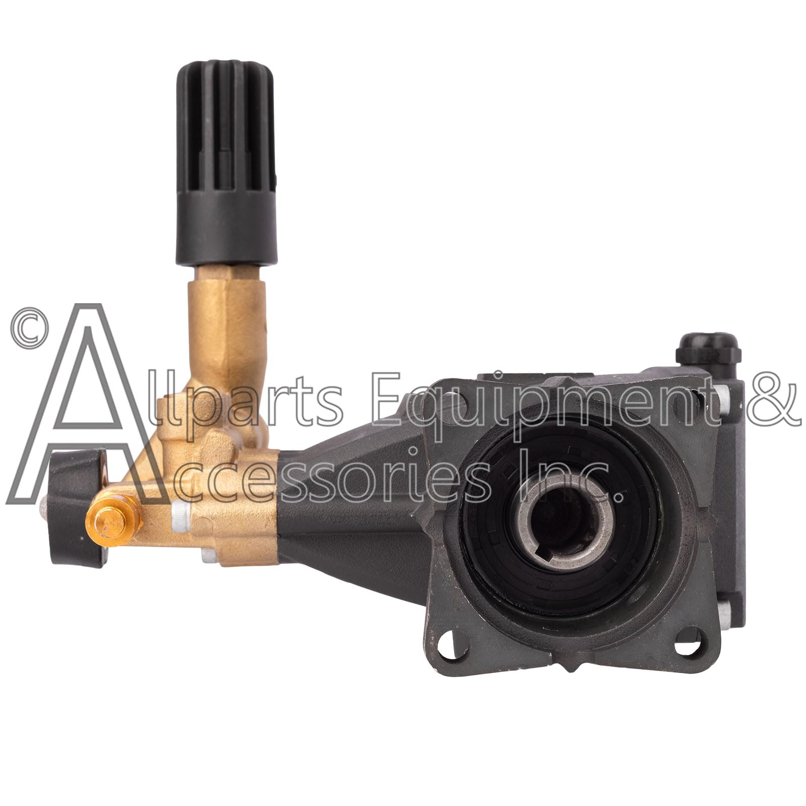 Amazon.com : 7106573 Simpson AAA Horizontal Triplex Plunger