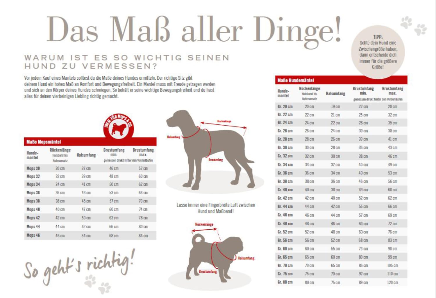 Wolters Regenjacke Easy Rain | Perfekter Schutz bei Regenwetter für Hunde | Farbe Dunkelblau Gr. 40 (Rückenlänge 39-41 cm)