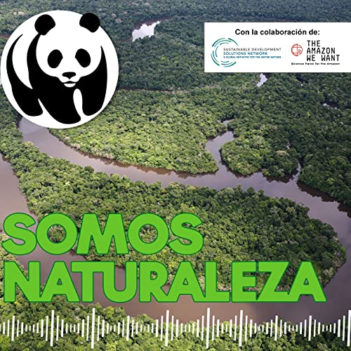 Visitamos la Amazonía 🌳 - Ep. 16 Podcast By  cover art