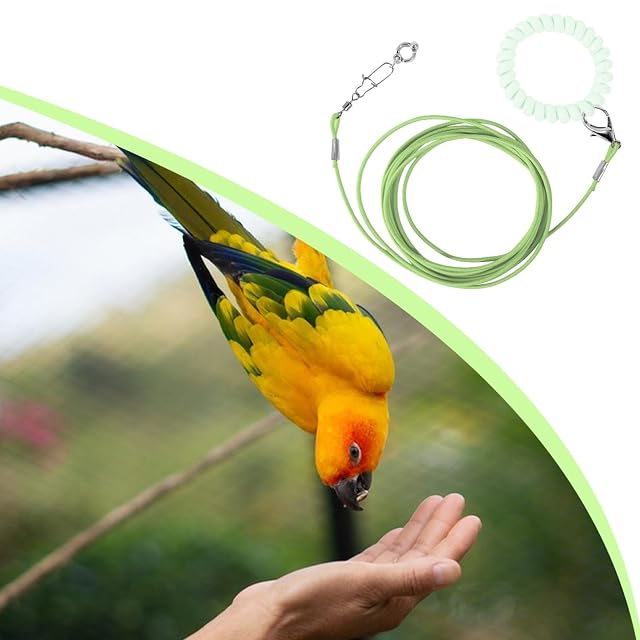 Foto 8 de 8 de Cuerda de entrenamiento para pájaros loro - Cuerda voladora ligera para pájaros