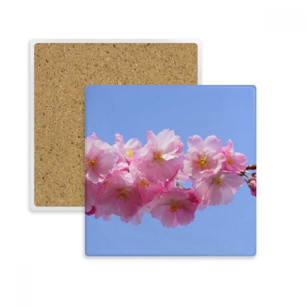 Porte de Pierre Absorbent pour Boissons aux Motifs de Belles Fleurs Pastel