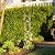 Evergreen 5 ft Garden Trellis for Climbing Plants Vines, Jasmine & Flowers, Rustproof Metal Obelisk Trellises, Outdoor & Indoor Plant Support for Potted Planters (Bronze)