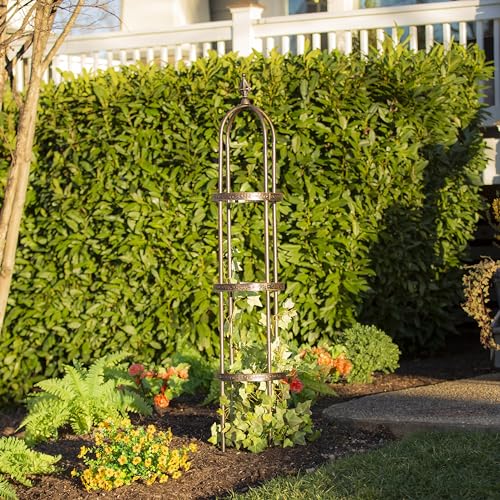 Evergreen Garden 5 ft Metal Garden Obelisk Trellis for Climbing Plants Vines, Clematis & Flowers | Outdoor & Indoor Plant Trellis for Potted Plants | Floral Pattern Arch Trellis (Bronze) by Evergreen Garden - Image 2