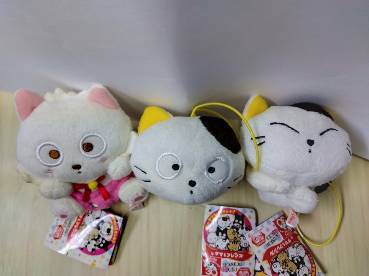 Amazon.co.jp: うちのタマ知りませんか？ タマ＆フレンズ モモ＆タマ 3