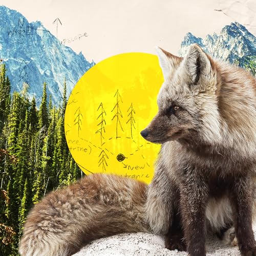 A Photographer's Glimpse Into the Dwindling World of the Cascade Red Fox