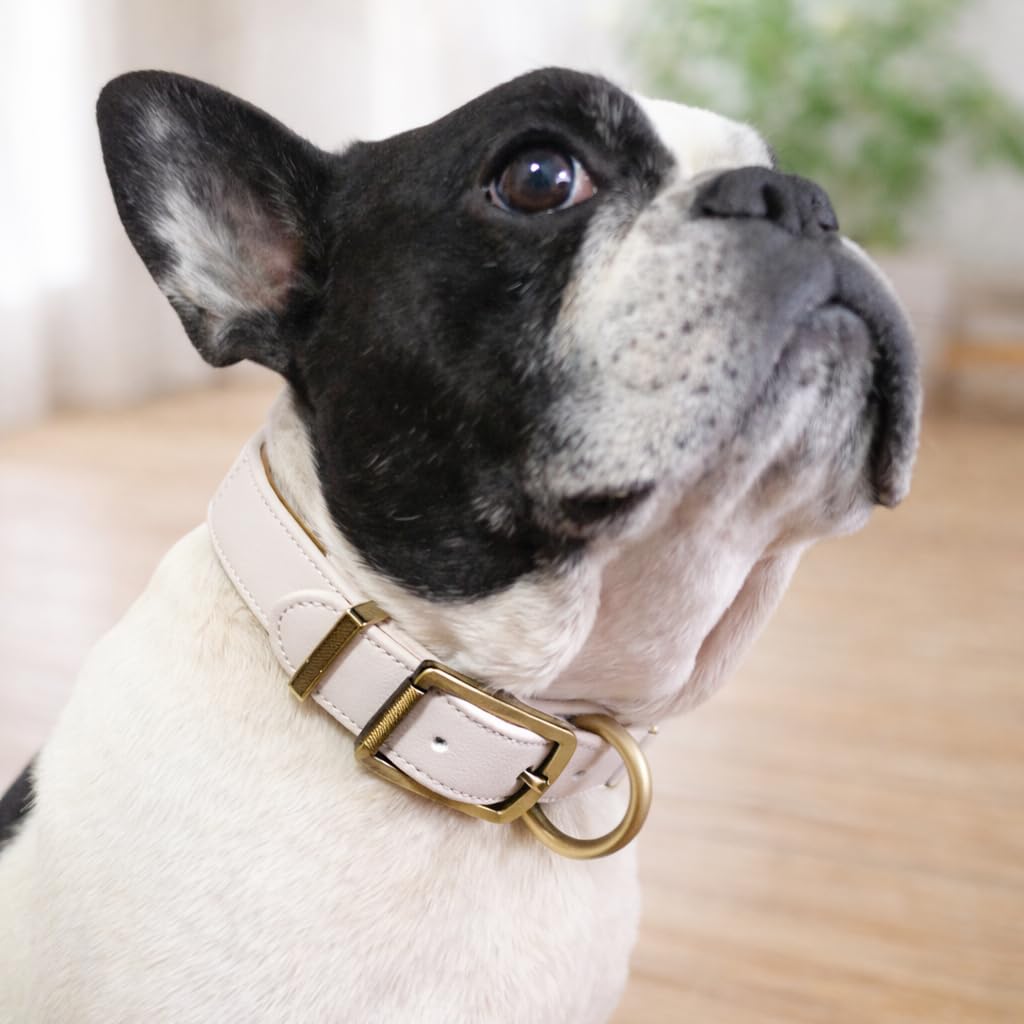 Amazon | Beanspet 犬用首輪 レザーベルト 毛が挟まりにくい マイクロ Amazon | Beanspet 犬用首輪 レザーベルト 毛が挟まりにくい マイクロ
