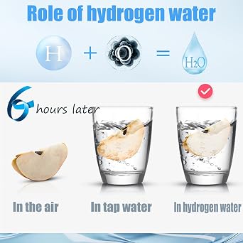 Water Bottle with SPE/PEM Technology