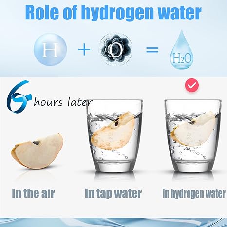 Water Bottle with SPE/PEM Technology