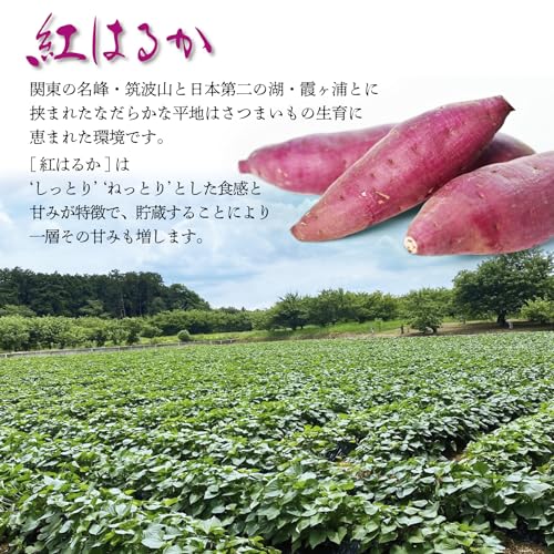 Quality Leaders 熟成・姫蜜やき芋(冷凍)～やきいも 姫やき芋 １.０kg (250g×4パック) 紅はるか の商品画像 7