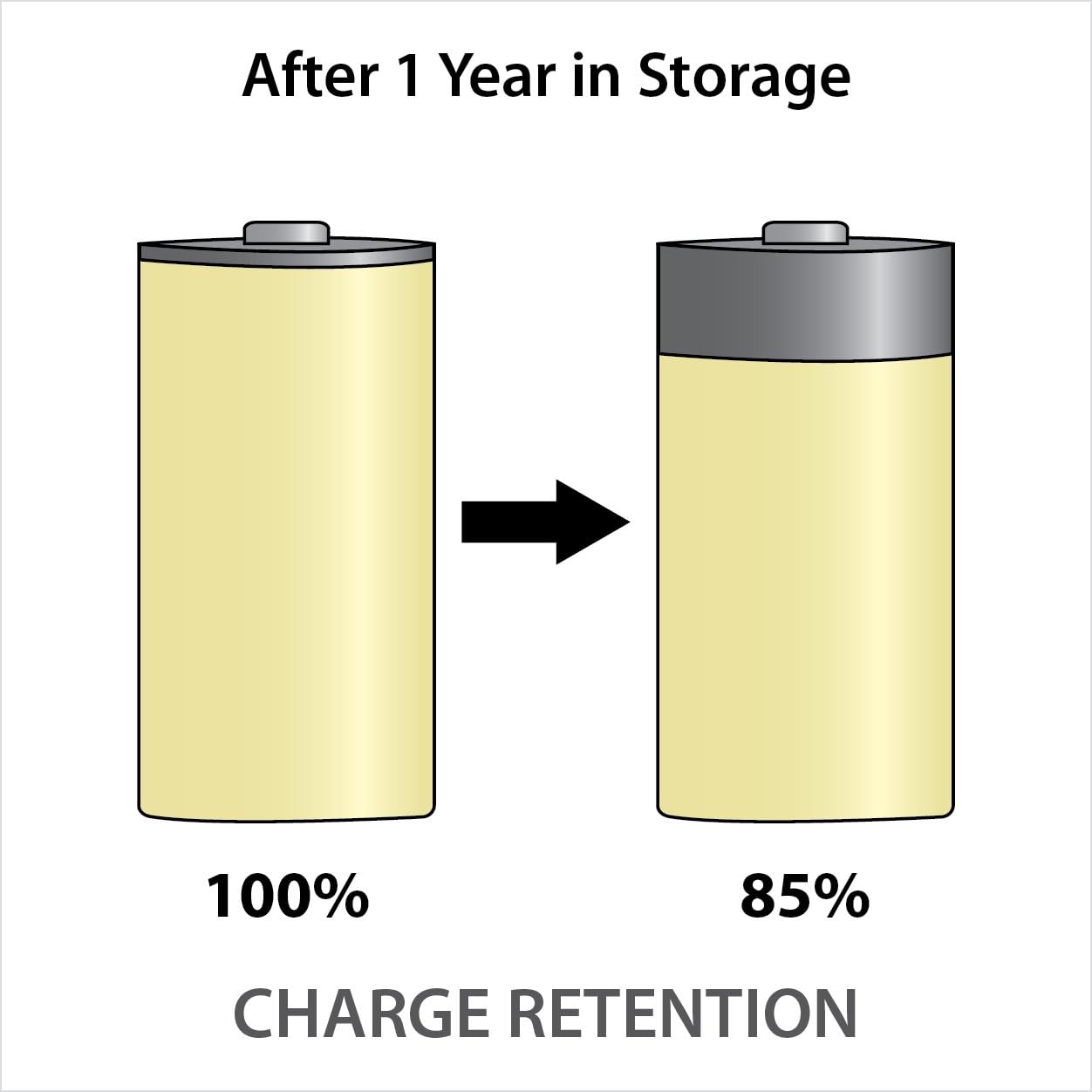 Powerex Low Self-Discharge Precharged C Rechargeable NiMH Batteries - 1.2V, 5000mAh, 2-Pack (MHRCP2)