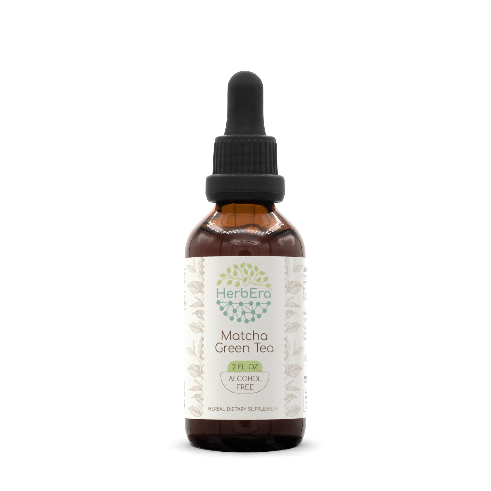 HerbEra Matcha Green Tea Alcohol-Free Liquid Extract Tincture – Focus & Cognitive Support, Camellia sinensis Dried Leaf, Antioxidant Drops, Vegan, Herbal Supplement (2 fl oz) 2 Fl Oz (Pack of 1)