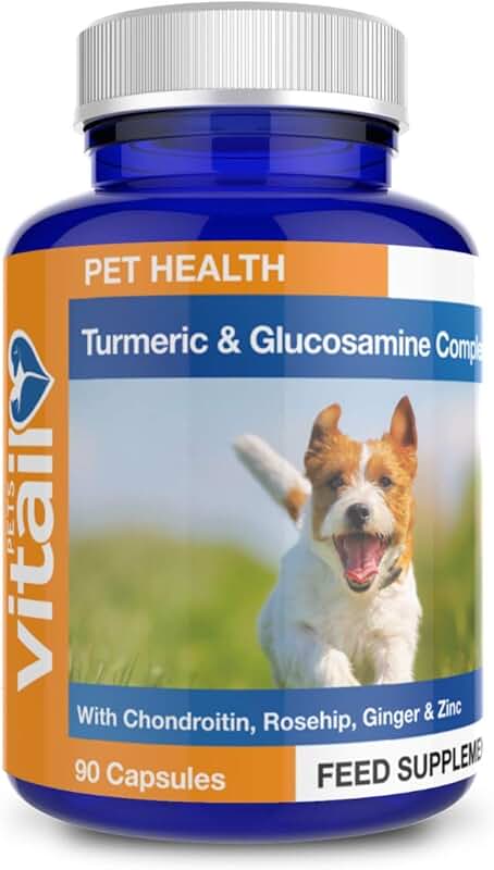 turmeric for cats