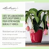 Lechuza Self Watering Plant Pot CLASSICO 43 LS Garden Flower Indoor and Outdoor Plastic Planter with Drainage Hole D43 H40 cm Charcoal Metallic - 5