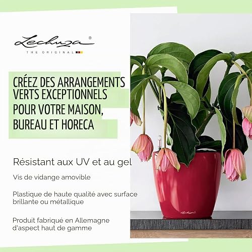 Lechuza Self Watering Plant Pot CLASSICO 43 LS Garden Flower Indoor and Outdoor Plastic Planter with Drainage Hole D43 H40 cm Charcoal Metallic - 5