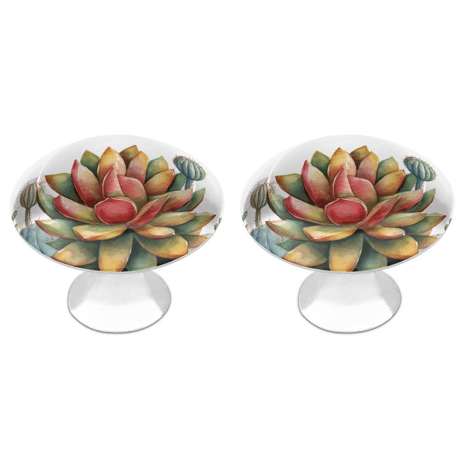 QMNLKH Watercolor Succulent Plant Cabinet Knobs for Home, Round Drawer Pulls for Kitchen, Personalized Cupboard Handles with Screw, Fashion Dresser Knobs for Office, Drawer Handles, 2 Packs
