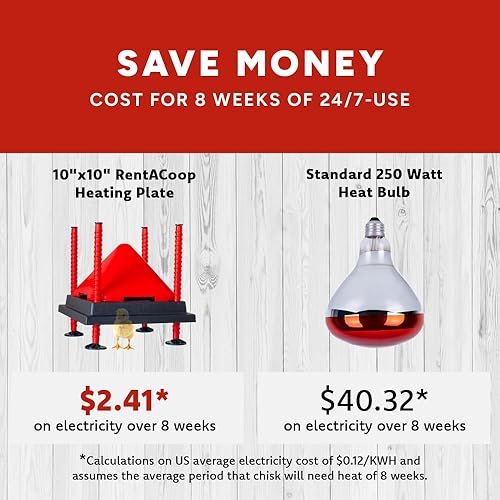 Miniatura 4 de RentACoop Juego de placa calefactora y cono anti-gallo - Placa calefactora para criadores calienta hasta 15 pollitos - Calentador de pollitos con 25