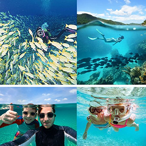 Sevenoak Aluminum Alloy Micro Film Making Kit Video Cage Diving Rig Stabilizer Sk-Gha6 & Gopro Mount Adapter For Action Cameras Gopro Hero3 3+ 4 5 6 Action Cameras For Underwater Video & Photography #TOP1