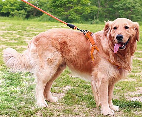 Adjustable Dog Harness Anti-Twist Dog Leash Set for Small Medium Large Dogs, Soft and Durable Vest Harness Leash for Daily Training Walking Running and Easy Control