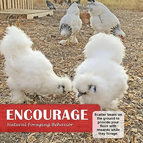 Pecking Order Boonworm Treats, 5 Grain Scratch (12 lb) - Thumbnail 5