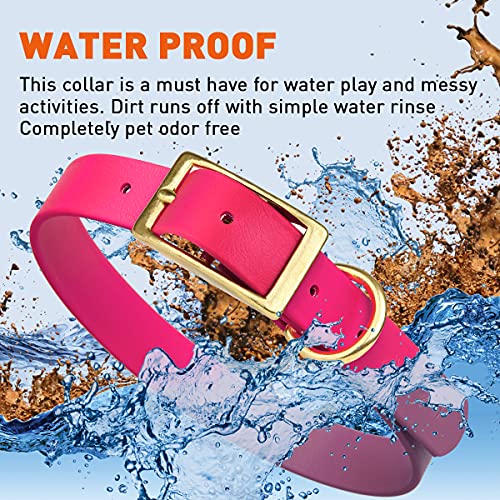 Viper Biothane Heavy Duty Waterproof Dog Collar Strong Coated Nylon Webbing W/Solid Brass Hardware Odor-Proof For Easy Care Easy To Clean High Performance Fits Small Medium Or Large Dogs #TOP4