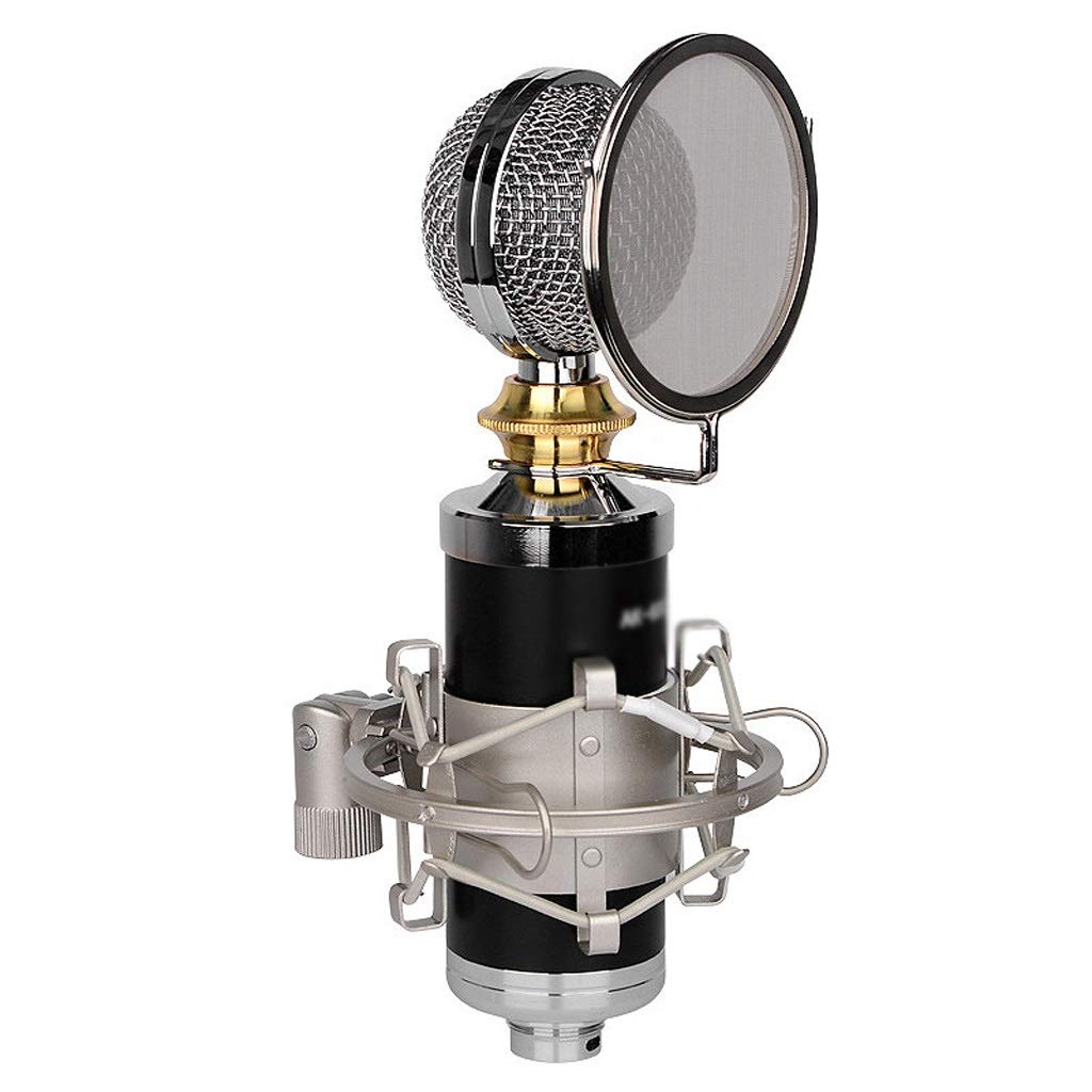Microphone de studio stéréo clair grand flacon pour diffusion en direct sur téléphone portable
