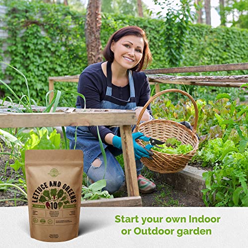 10 Lettuce & Salad Greens Seeds Variety Pack 4800+ Non-Gmo Heirloom Lettuce Seeds For Planting Indoors & Outdoors Garden, Hydroponics - Arugula, Radicchio, Kale, Spinach, Swiss Chard, Lettuce & More #TOP4