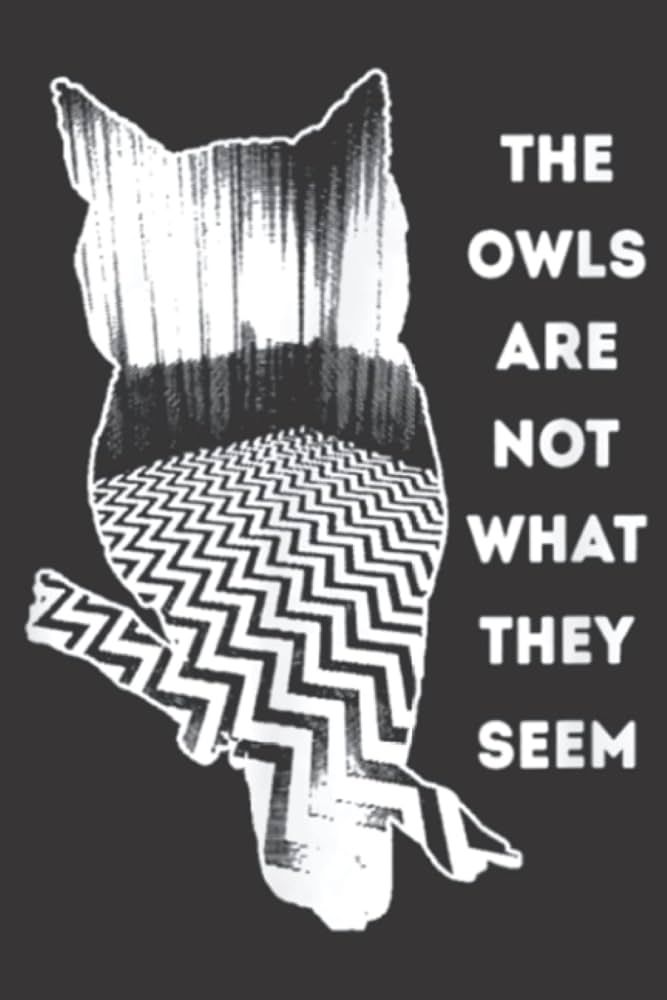 洋楽 V/Vm The Owls Are Not What They Seem V/Vm – The Owls Are Not What They Seem – Vinyl (Red Clear, 7