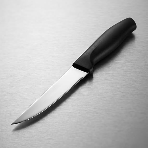 Paslanmaz Çelik Meyve Bıçağı Seti, Siyah Saplı, 12 Parça