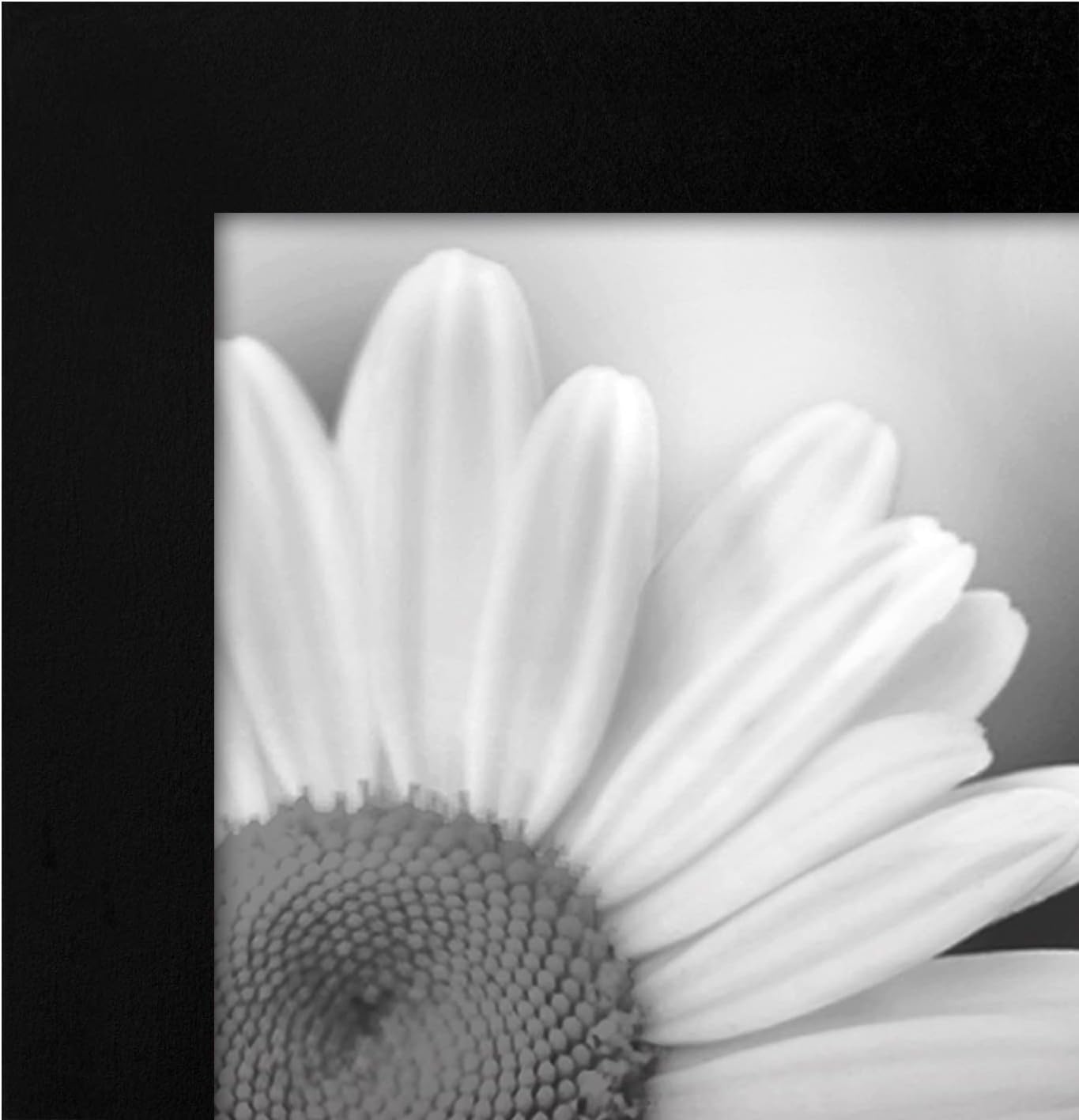 Americanflat 4x6 Picture Frame with Polished Plexiglass - Set of 6 - Signature Collection - Picture Frames with Engineered Wood - Photo Frame for Tabletop and Wall Display - Black