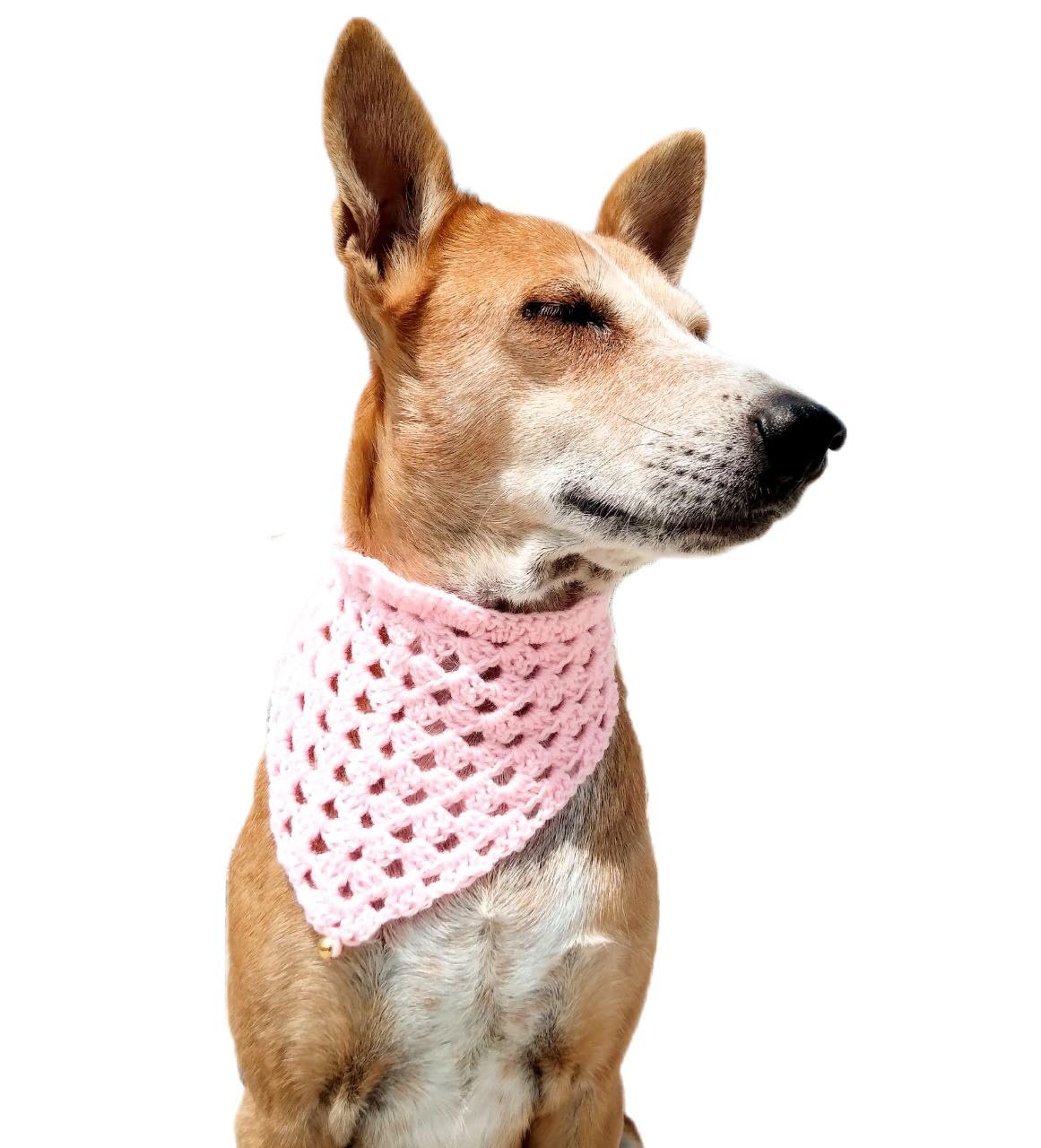 Skaista Hand Crocheted Pet Dog Bandana (pinkviolet) 2