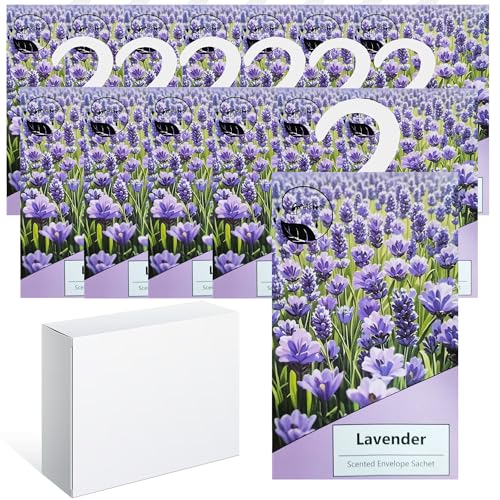 14PCS Saquitos Armario ambientador Lavanda, Perfumador Ropa, Ambientador Armario Ropa Limpia, Bolsa Guardarropa, Hogar Saquitos Armario Ropa, Bolsita Refrescador para Coche, Zapatero (Lavanda)