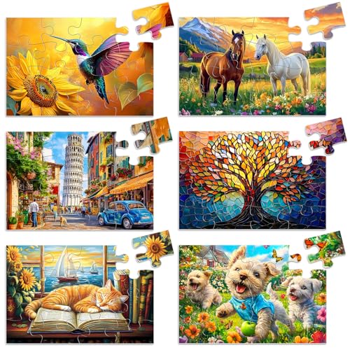 Biarek 6 Packs 16 Large Piece Puzzle for Seniors, Alzheimer's & Dementia Activities, Easy Puzzle, 6 Storage Bags