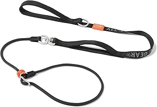 Slip Lead Dog Leash with Double Handles