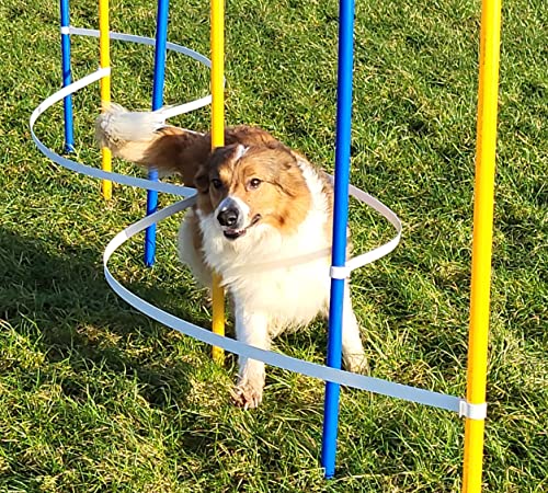Wuzzmann Agility - Slalom - AUSBILDUNGSSET MIT 4 SLALOMBÖGEN/TRAININGSBÖGEN + 6 SLALOMSTANGEN GELB/BLAU