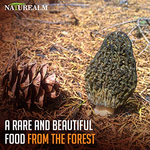 Naturealm Morel Mushrooms Wild-Harvested in Canada, Grade A+ Premium Clean Whole Dried Morels in Compostable Bag - 2oz.