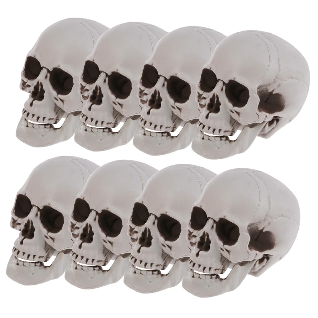 8 Piezas Calavera para Halloween, Esqueleto Realista para Fiestas y Escenarios de Fotos, Adorno de Plástico para Casa