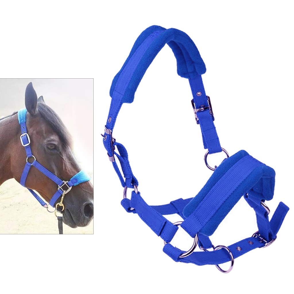 Halter Acolchado Ajustable para Caballos con Cabezada Brida Nylon y Correa Desmontable de Banda Nasal Gruesa Adecuado para Montar Entrenamiento Paseo