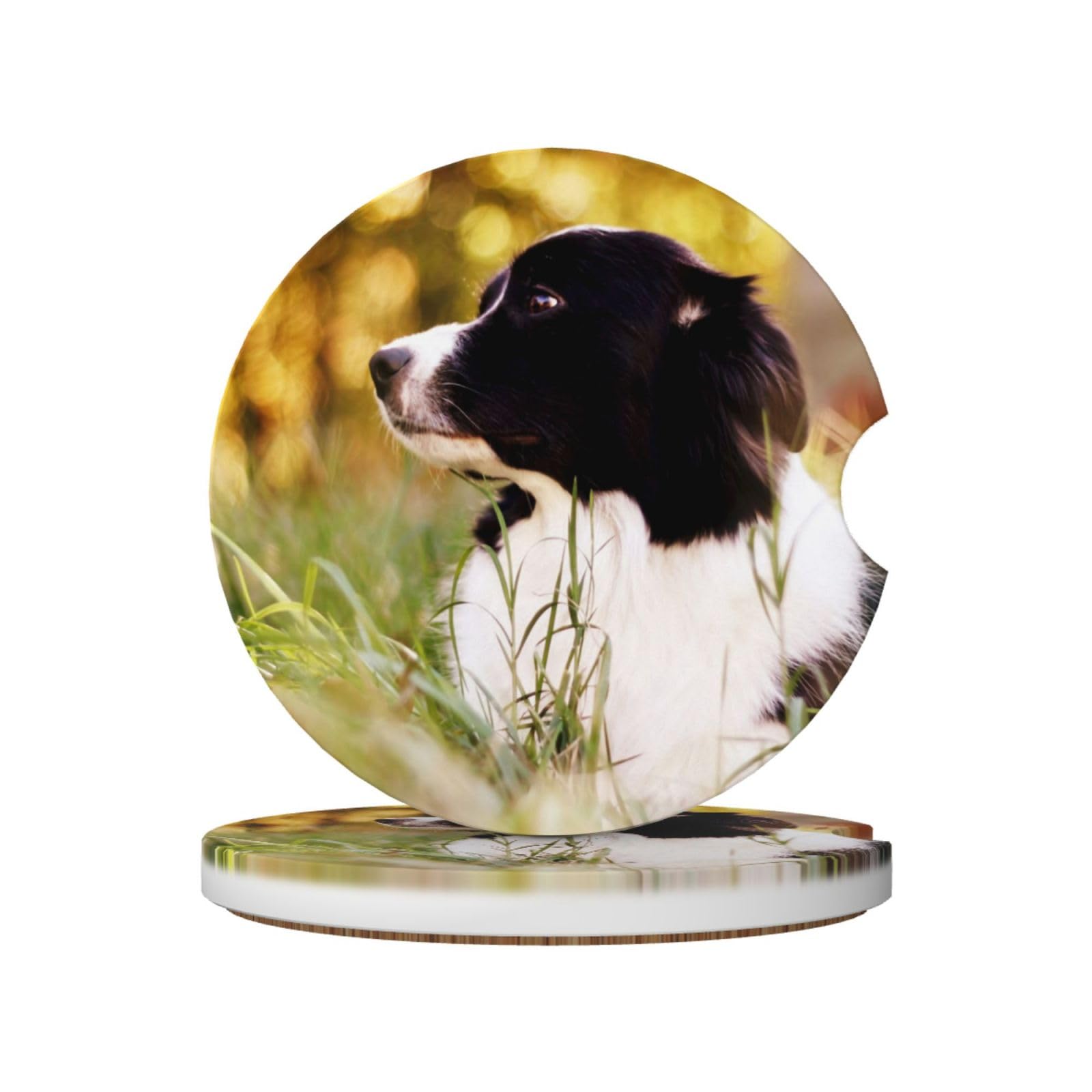 Animals Border Collie Spotted Dog, Car Cup Holder Coasters 2 Pack, Absorbent Ceramic Car Coasters with Non Slip Cork Base