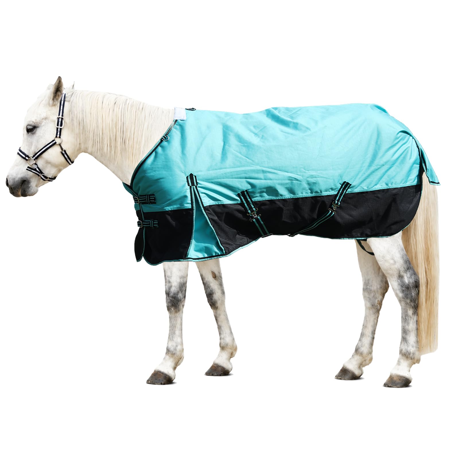 1200D Horse Blanket, 0g No-Fill Waterproof Turnout Rain Sheet
