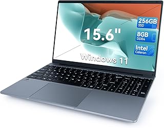 15.6" Laptop Computer, Windows 11 laptops, Quad-Core Intel Celeron N5095 Processors, Laptop Computers with 1366 * 768 IPS Display, 5000mWh Battery, 8GB DDR4 256GB SSD, WiFi, Bluetooth, Type-C