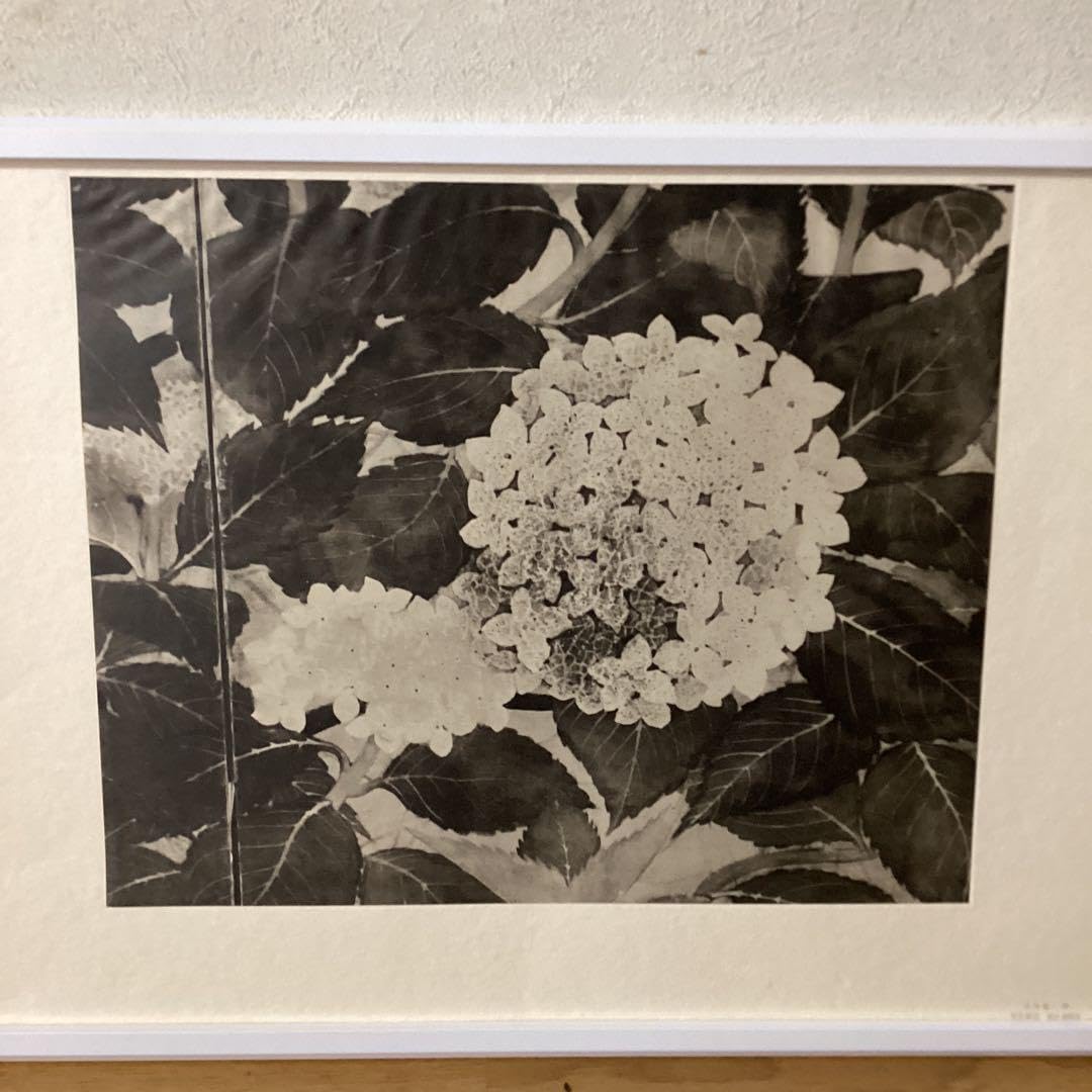 天才画家　速水御舟　便利堂監修　作品大作編　【翠苔緑芝部分紫陽花之図】NO 28 Amazon.co.jp: 天才画家 速水御舟 便利堂監修 作品大作編 翠苔緑