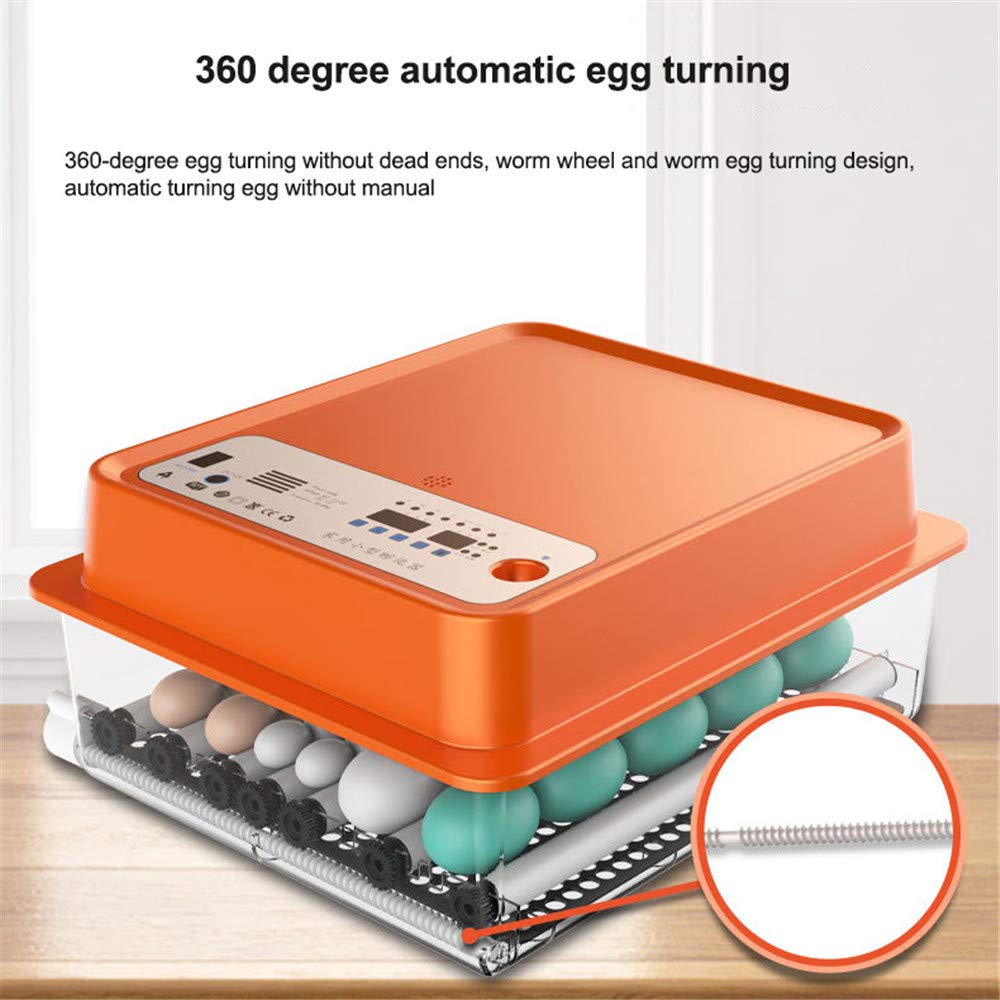 Mini incubatrice per Uova, schiusa Automatica Digitale con Controllo della Temperatura, Display a LED per Macchina per schiusa di pollame Completamente Automatica Digitale da 30-36 Uova