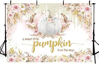 7x5ft Autumn Pink Pumpkin Baby Shower Backdrop a Little Pumpkin is On The Way Baby Shower Party Decorations Pink Pumpkin Baby Shower Decorations Photography Background
