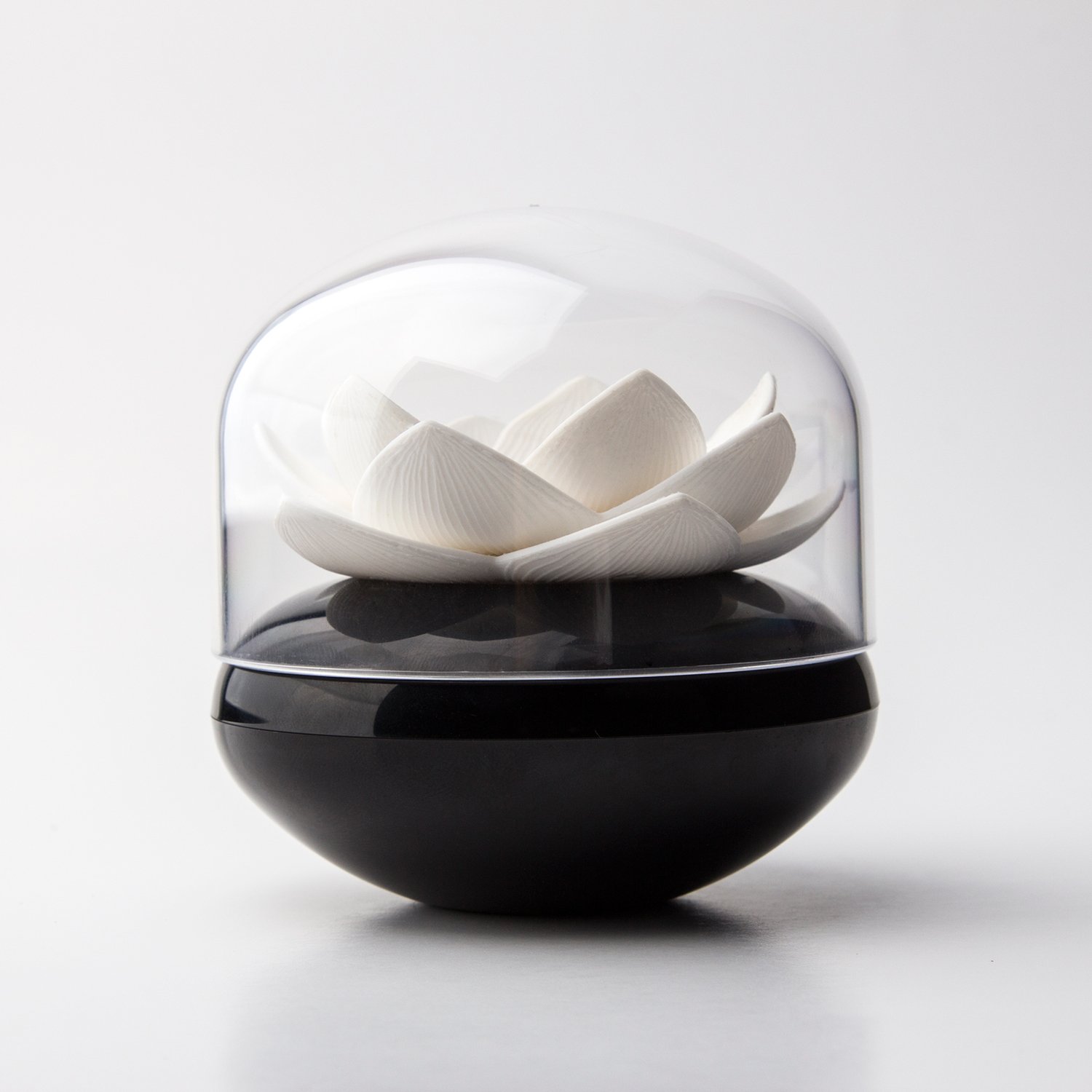 QUALYCotton Bud Box Lotus Black and White