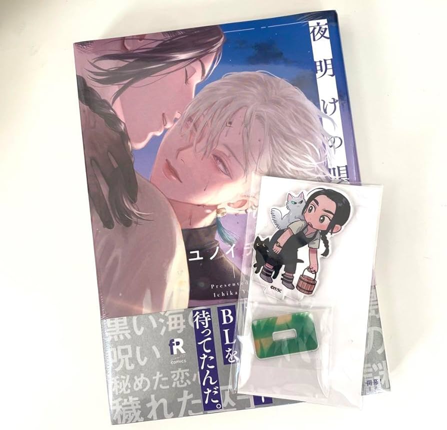 Amazon.co.jp: 夜明けの唄 1 BL漫画 1巻 アルト アクスタ : おもちゃ