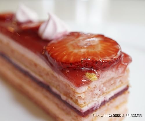 Sony SEL30M35 — nuotrauka 6