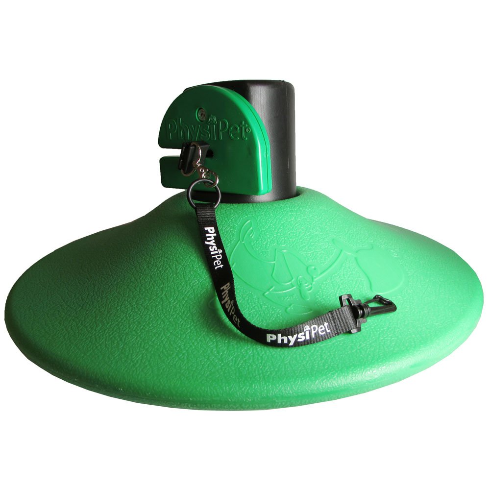 PlayPaws By PhysiPet Cat And Dog Pet Exercise & Entertainment Toy, Medium, Green